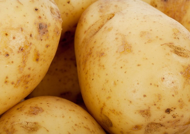 English white potato prices at all time high