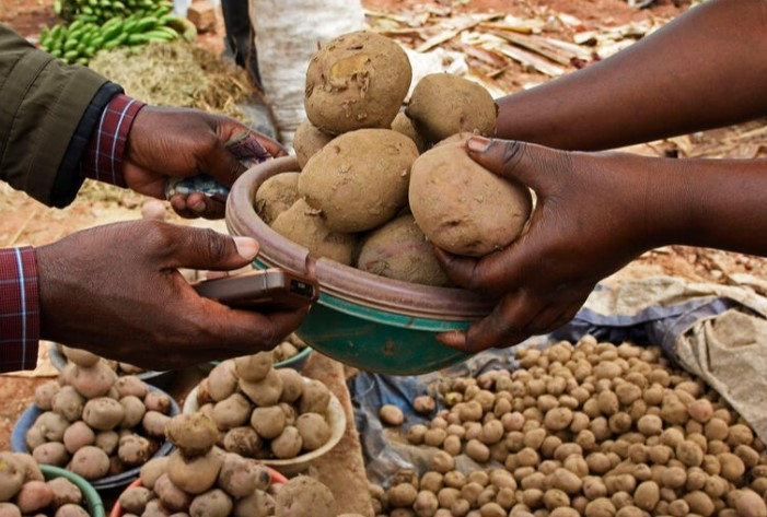 INTERNATIONAL Potato Day, a celebration of what is arguably the most important crop consumed by more than one billion people around the world, will be celebrated on May 30th, with a number of awareness-raising messages for the public and legislators being highlighted on the day.