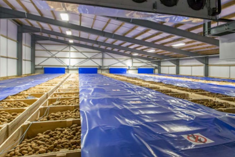GB Potatoes, in partnership with Potato Storage Insight and SDF Agriculture, is continuing to run the Strategic Potato (SPot) storage project this year.